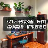 仅1%原始水道！原住民痛诉美铝：扩采西澳红柳桉林，河流早不能直接饮用