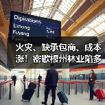 火灾、缺承包商、成本涨!密歇根州林业陷多重困境,1200万投资难抵损失(图4) 火灾、缺承包商、成本涨!密歇根州林业陷多重困境,1200万投资难抵损失(图4)