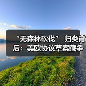 “无森林砍伐” 归类背后：美欧协议草案藏争议，墨西哥木材或借道美国闯欧盟（图3）