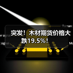 突发！木材期货价格大跌19.5%！（图3）