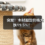 突发！木材期货价格大跌19.5%！（图2）