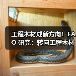 工程木材成新方向！FAO 研究：转向工程木材或实现建筑行业半数潜在减排