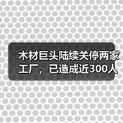 木材巨头陆续关停两家工厂，已造成近300人失业！当地：会帮助就业（图4）