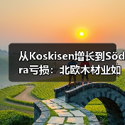 从Koskisen增长到Södra亏损：北欧木材业如何应对多重压力？（图3）