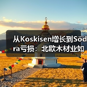 从Koskisen增长到Södra亏损：北欧木材业如何应对多重压力？（图4）