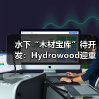 水下“木材宝库”待开发：Hydrowood迎重大投资，塔斯马尼亚区域就业链将受益