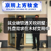 就业疲软遇关税调整：托盘需求在木材变局中寻找新方向（图3）