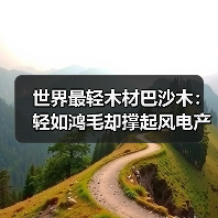 世界最轻木材巴沙木:轻如鸿毛却撑起风电产业半边天(图2) 世界最轻木材巴沙木:轻如鸿毛却撑起风电产业半边天(图2)