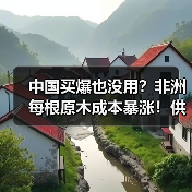 中国买爆也没用？非洲每根原木成本暴涨！供应链危机隐现