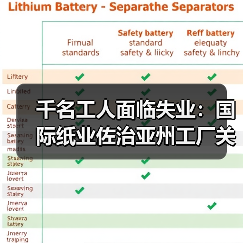 千名工人面临失业:国际纸业佐治亚州工厂关闭,战略转型引发行业连锁反应(图4) 千名工人面临失业:国际纸业佐治亚州工厂关闭,战略转型引发行业连锁反应(图4)
