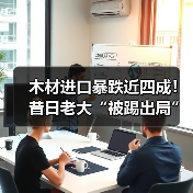 木材进口暴跌近四成！昔日老大“被踢出局”，其他小国闷声发大财（图3）