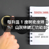 每升温 1 度树密度降 9%！山灰林碳汇功能弱化，研究指间伐可破局（图4）