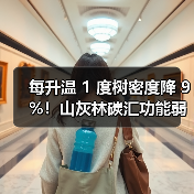 每升温 1 度树密度降 9%！山灰林碳汇功能弱化，研究指间伐可破局（图2）