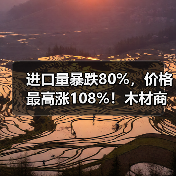 进口量暴跌80%，价格最高涨108%！木材商：成本压力山大！