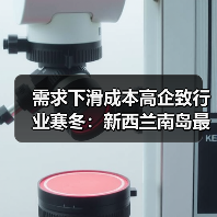 需求下滑成本高企致行业寒冬：新西兰南岛最大锯木厂面临关闭危机（图4）