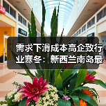 需求下滑成本高企致行业寒冬：新西兰南岛最大锯木厂面临关闭危机