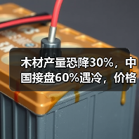 木材产量恐降30%，中国接盘60%遇冷，价格还能扛住吗？