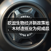欧盟生物经济新政落地，木材造纸业为何成最大赢家？（图3）