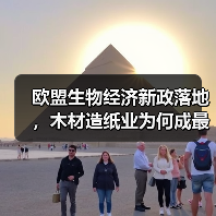 欧盟生物经济新政落地，木材造纸业为何成最大赢家？（图4）