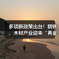 多项新政策出台！钢铁、木材产业迎来“黄金转折点”？（图3）
