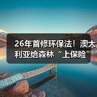 26年首修环保法!澳大利亚给森林“上保险”,林业界慌了?(图4) 26年首修环保法!澳大利亚给森林“上保险”,林业界慌了?(图4)