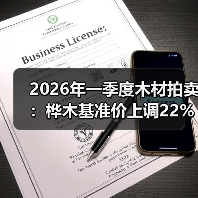 2026年一季度木材拍卖:桦木基准价上调22%,全部批次100%售罄!(图4) 2026年一季度木材拍卖:桦木基准价上调22%,全部批次100%售罄!(图4)