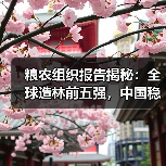 粮农组织报告揭秘:全球造林前五强,中国稳居榜单!(图2) 粮农组织报告揭秘:全球造林前五强,中国稳居榜单!(图2)