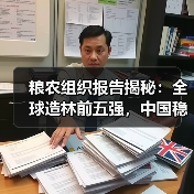 粮农组织报告揭秘:全球造林前五强,中国稳居榜单!(图3) 粮农组织报告揭秘:全球造林前五强,中国稳居榜单!(图3)