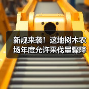 新规来袭!这地树木农场年度允许采伐量骤降26.2%!(图4) 新规来袭!这地树木农场年度允许采伐量骤降26.2%!(图4)
