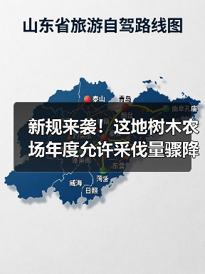 新规来袭!这地树木农场年度允许采伐量骤降26.2%!(图2) 新规来袭!这地树木农场年度允许采伐量骤降26.2%!(图2)