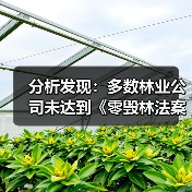 分析发现：多数林业公司未达到《零毁林法案》要求