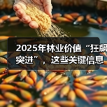 2025年林业价值“狂飙突进”,这些关键信息你必须知道!(图1) 2025年林业价值“狂飙突进”,这些关键信息你必须知道!(图1)
