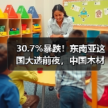 30.7%暴跌!东南亚这国大选前夜,中国木材商集体遭遇断货危机?(图2) 30.7%暴跌!东南亚这国大选前夜,中国木材商集体遭遇断货危机?(图2)