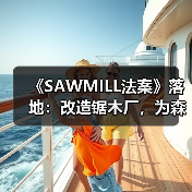 《SAWMILL法案》落地:改造锯木厂,为森林“降火”(图4) 《SAWMILL法案》落地:改造锯木厂,为森林“降火”(图4)