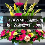 《SAWMILL法案》落地:改造锯木厂,为森林“降火”(图1) 《SAWMILL法案》落地:改造锯木厂,为森林“降火”(图1)
