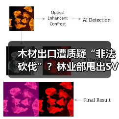 木材出口遭质疑“非法砍伐”?林业部甩出SVLK认证打脸!(图1) 木材出口遭质疑“非法砍伐”?林业部甩出SVLK认证打脸!(图1)