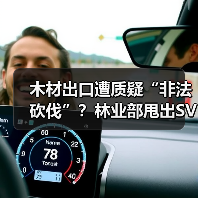 木材出口遭质疑“非法砍伐”?林业部甩出SVLK认证打脸!(图4) 木材出口遭质疑“非法砍伐”?林业部甩出SVLK认证打脸!(图4)