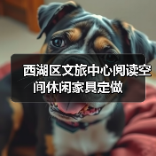 西湖区文旅中心阅读空间休闲家具定做(图1) 西湖区文旅中心阅读空间休闲家具定做(图1)