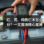 红、黄、褐榄仁木怎么分?一文厘清核心差异与应用边界(图1) 红、黄、褐榄仁木怎么分?一文厘清核心差异与应用边界(图1)