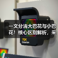 一文分清大巴花与小巴花!核心区别解析,采购避坑必看(图1) 一文分清大巴花与小巴花!核心区别解析,采购避坑必看(图1)