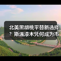 北美黑胡桃平替新选择?斯温漆木凭何成为市场新宠(图4) 北美黑胡桃平替新选择?斯温漆木凭何成为市场新宠(图4)