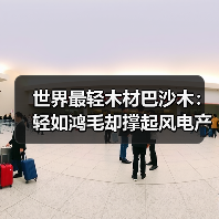 世界最轻木材巴沙木:轻如鸿毛却撑起风电产业半边天(图2) 世界最轻木材巴沙木:轻如鸿毛却撑起风电产业半边天(图2)