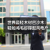 世界最轻木材巴沙木:轻如鸿毛却撑起风电产业半边天(图4) 世界最轻木材巴沙木:轻如鸿毛却撑起风电产业半边天(图4)
