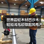 世界最轻木材巴沙木:轻如鸿毛却撑起风电产业半边天(图3) 世界最轻木材巴沙木:轻如鸿毛却撑起风电产业半边天(图3)