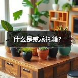 什么是熏蒸托箱?(图3) 什么是熏蒸托箱?(图3)