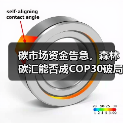 碳市场资金告急,森林碳汇能否成COP30破局关键?(图2) 碳市场资金告急,森林碳汇能否成COP30破局关键?(图2)