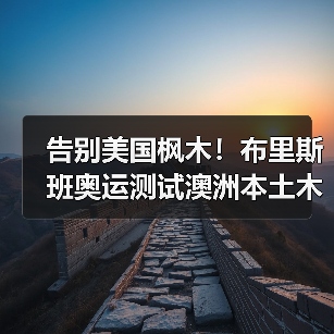 告别美国枫木!布里斯班奥运测试澳洲本土木材场地(图3) 告别美国枫木!布里斯班奥运测试澳洲本土木材场地(图3)