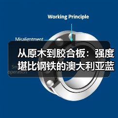 从原木到胶合板:强度堪比钢铁的澳大利亚蓝桉木(图3) 从原木到胶合板:强度堪比钢铁的澳大利亚蓝桉木(图3)
