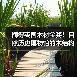 摘得英国木材金奖!自然历史博物馆的木结构惊艳之作(图4) 摘得英国木材金奖!自然历史博物馆的木结构惊艳之作(图4)