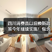 四川消费品以旧换新政策今年继续实施！包含汽车、家电、家装厨卫等品类（图2）